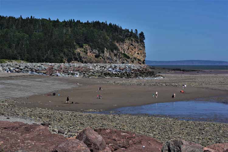 beach scene